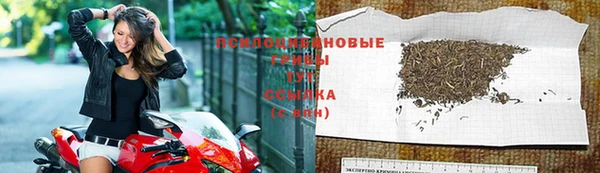 jwh Зеленокумск