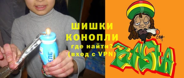 молекула духа Зеленодольск