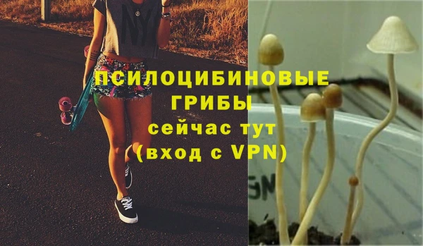 молекула духа Зеленодольск