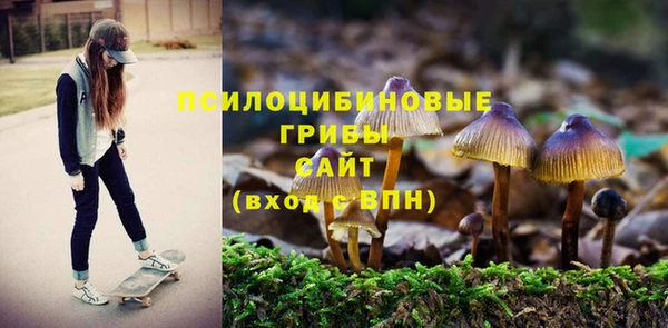 молекула духа Зеленодольск