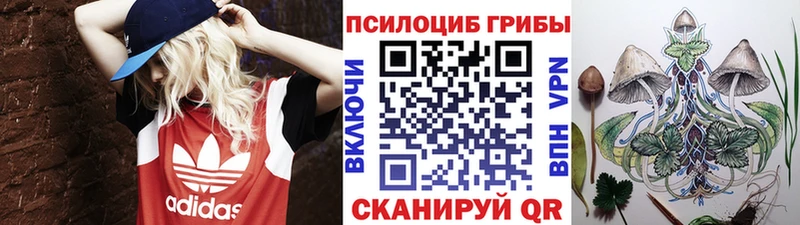 Купить закладки  Курск  Галлюциногенные грибы мицелий 